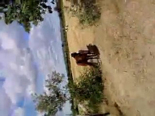 le bonheur est dans le près :p