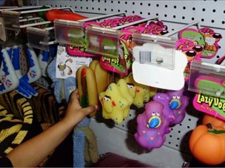 Entrenar Perros El Juego