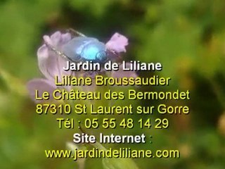Jardin de Liliane-07.09