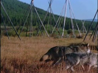 Great Wolf Spirit - A Tribute to Wolves