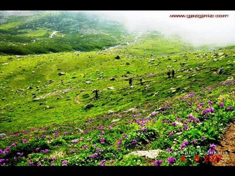 kavrun yaylası-tulum- kavrun.tr.gg