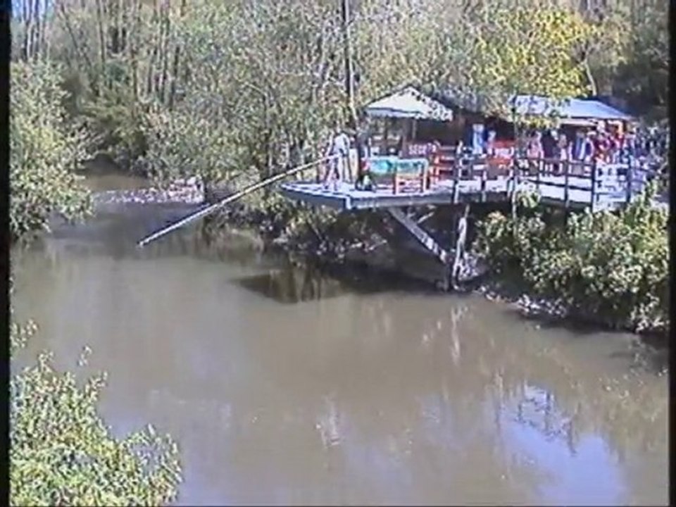 mon saut à l'élastique 61m