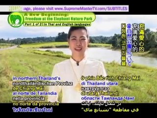 Sangduen Lek Chailert's Elephant Nature Foundation - P1/2