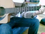 Sweet Home Alabama  Lynyrd Skynyrd a la guitare