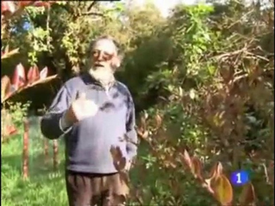 Lugares del mundo - Patagonia (2° parte)