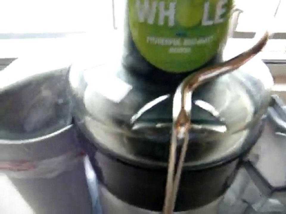 Breville Juicer Juice Fountain on Ebay Auction