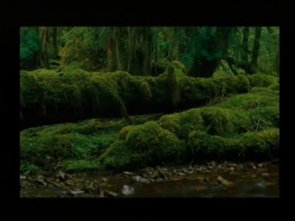 Terres Sauvages du Canada avec une trame sonore de JFV