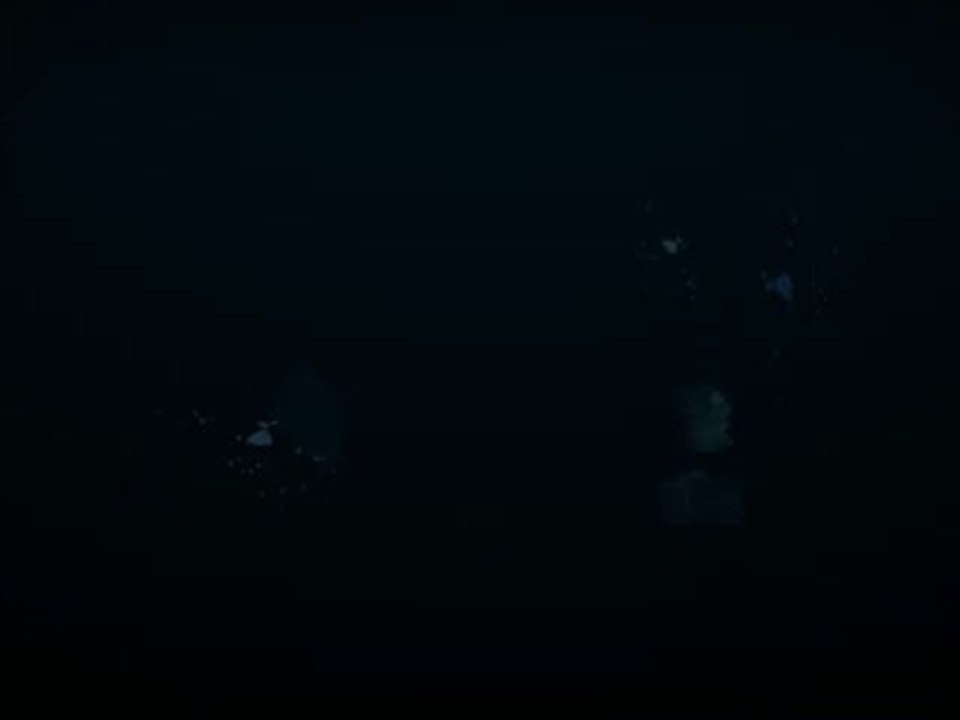 Animoto_video 01