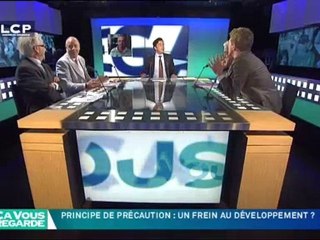 Le principe de précaution : un frein au développement ?