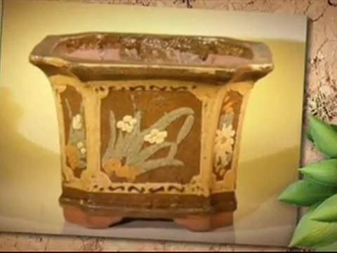 Nice Glazed Rectangle Bonsai Pots