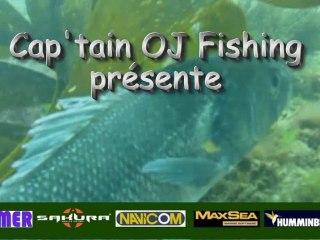 La Peche au bar avec OJ