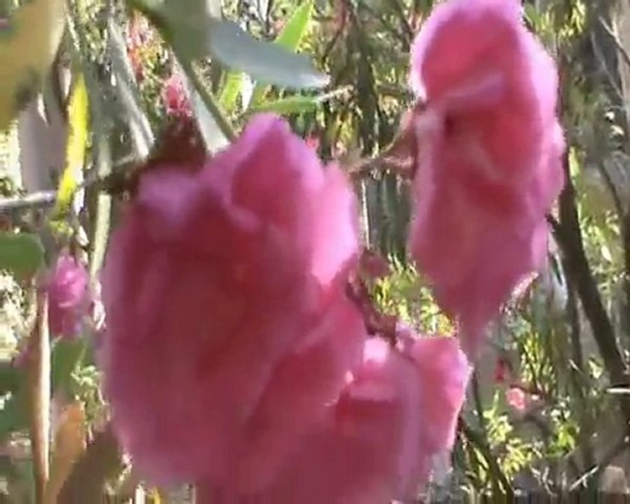 [Блог 23:45]:  04.07-11.07.10 - Остров Родос