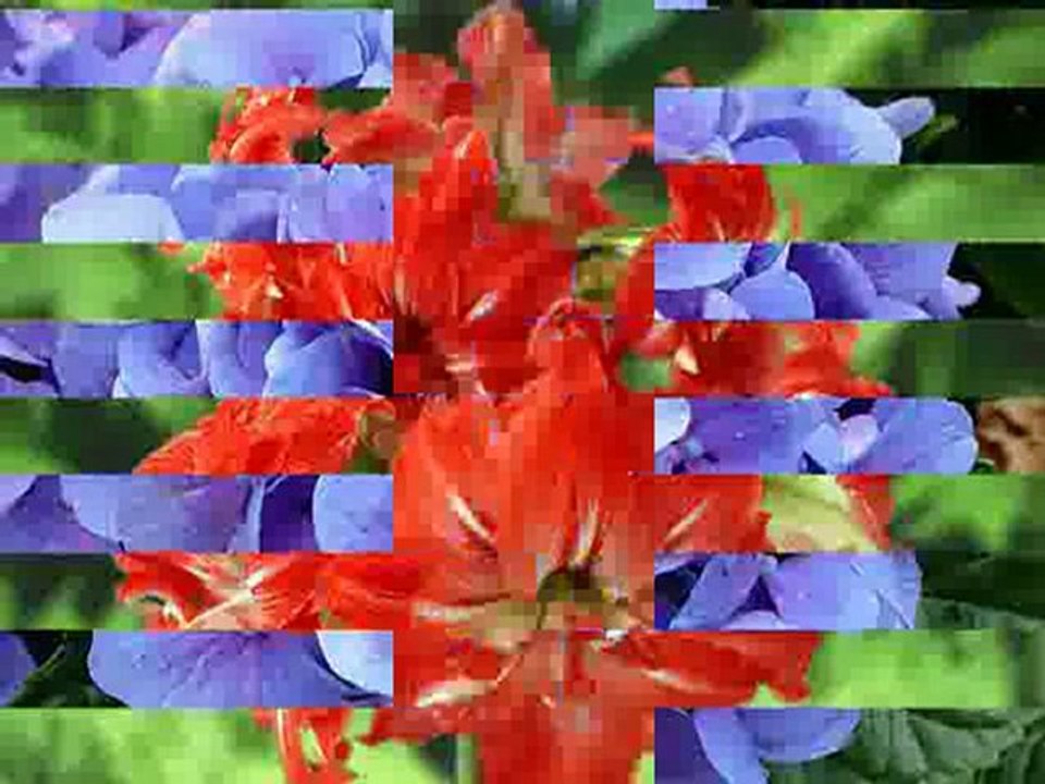 abdulbasset abdessamad   -  ( sourate yusuf )