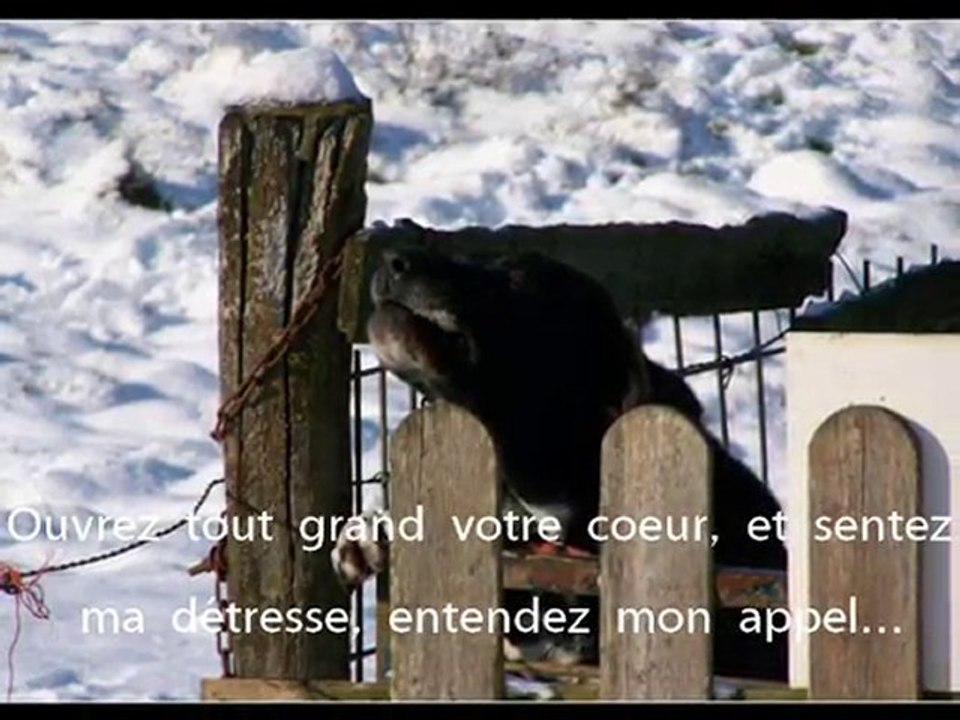 BLASE veut aussi croire en sa chance.
