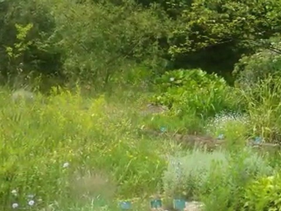 Jardin Botanique de Saverne-06.09