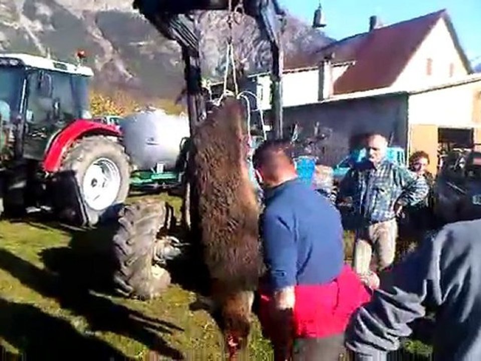 VID 00025-20101106-1500