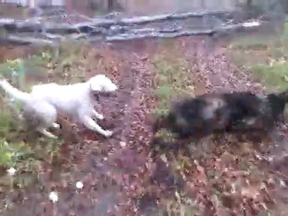 VID 00024-20101106-1422