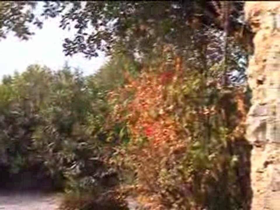 Un film exquis
