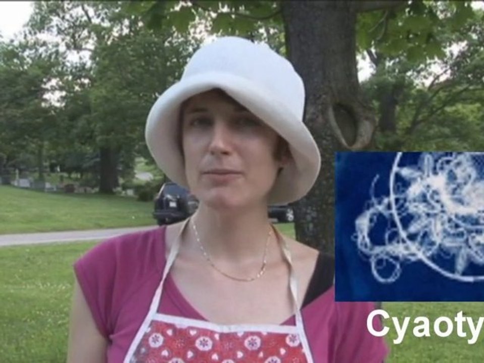 Michelle Riendeau artiste peintre Montréall Champetre 2010