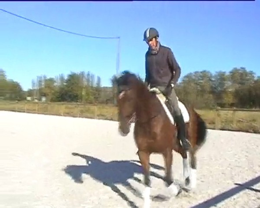 Heydo (I - After 2 months of training)