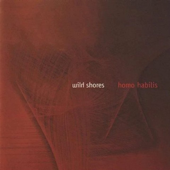 Wild Shores - Internet