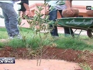 دير بحالي : الاثنين 8 نونبر