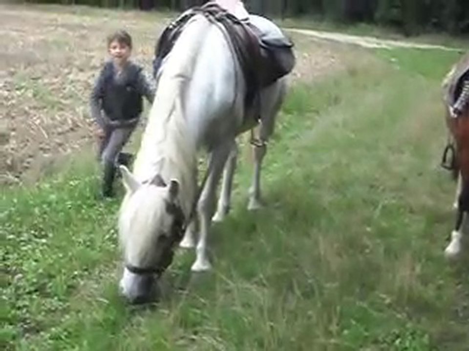 RANDO ÉQUESTRE en famille, pause goûter.