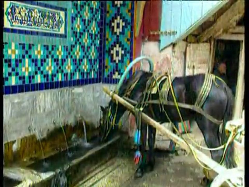 Mustafa Yıldızdoğan - Bizim Memleket