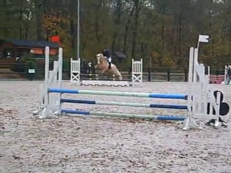 ConCour lahoussaye 07/11/10 DELPHINE & ALEZAN