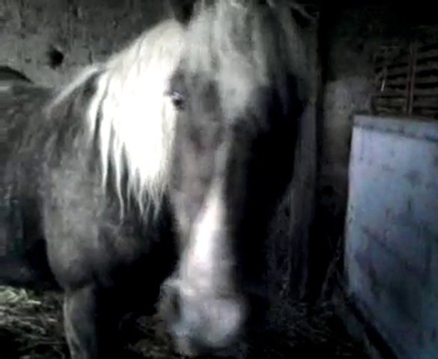 réconfort après la balade