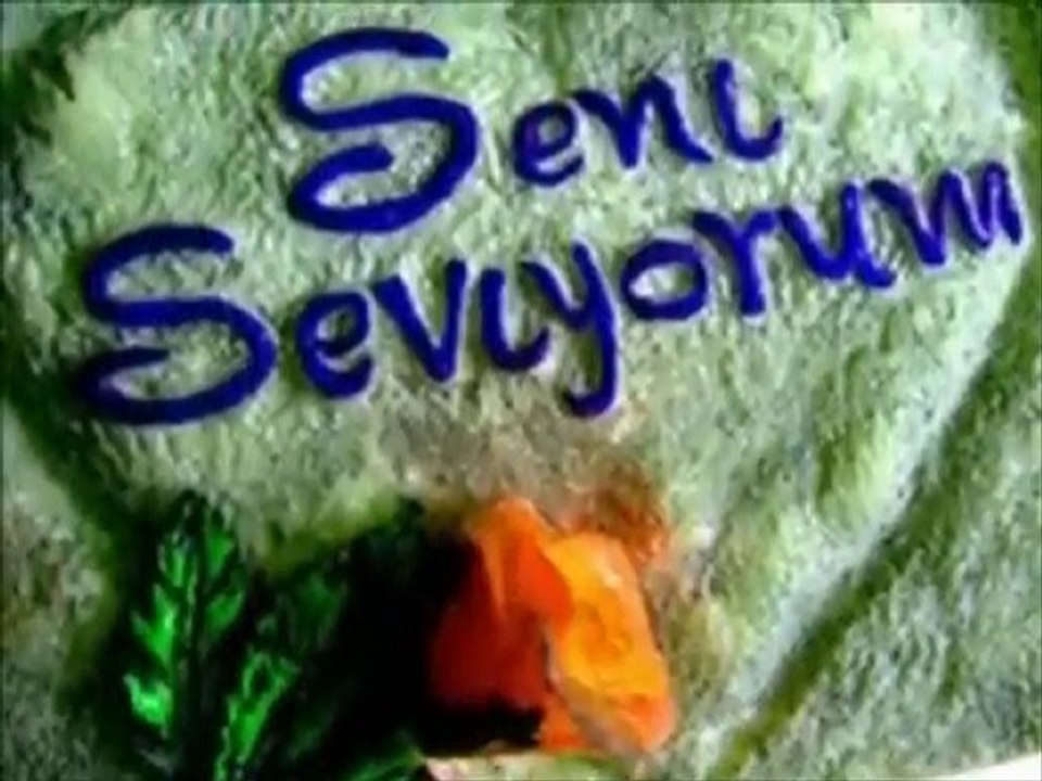 Öyle bir zamanda gelki... [ ŞİİR ORHAN VELİ YORUM OZAN CAN ]