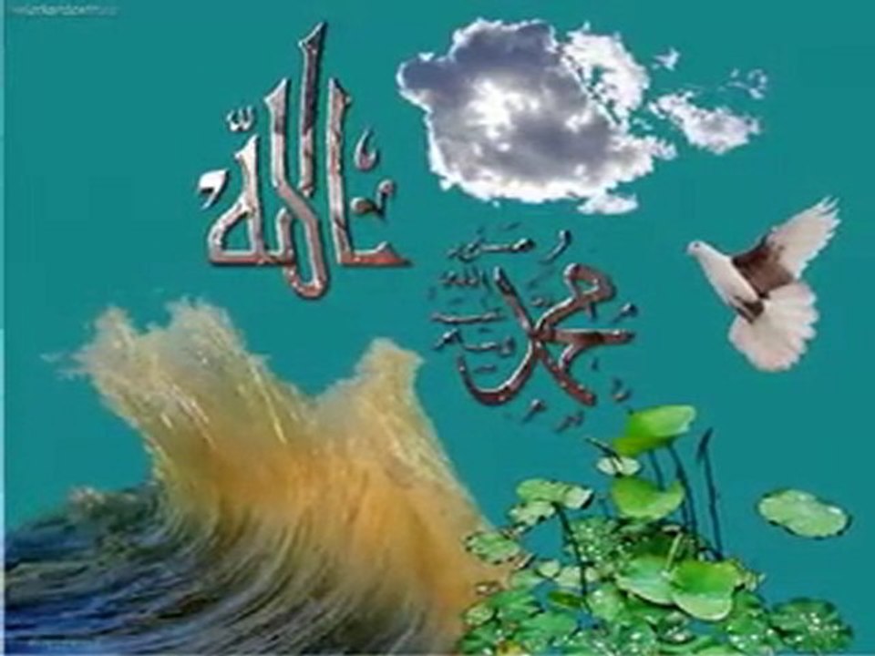 ALLAHUMME SALLİ ALA SEYİDİNA MUHAMMED (Gecenin Güneşi)