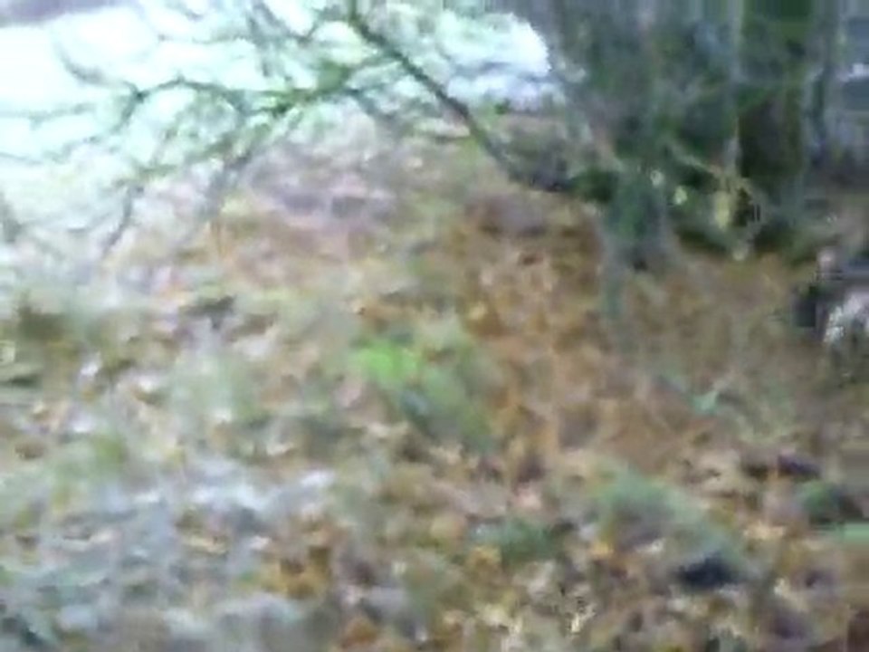 Jeunes chiottes (fanfare&fripone) en pleines stimulations!