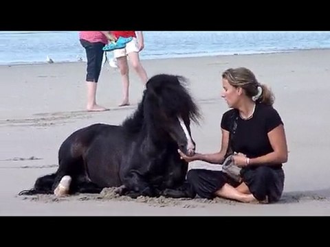 escapade à la mer aout 2010