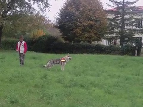 piste de Recherche utilitaire