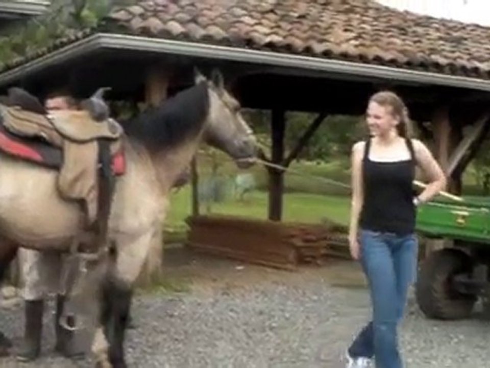 Natural Hoof Care for Horses at Rancho de Caldera