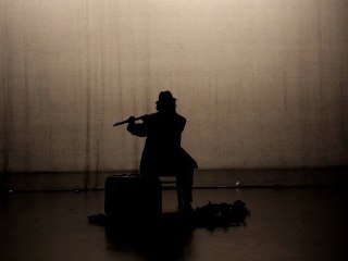 "Who Killed Cock Robin?" Bird Radio