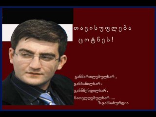 ვადანაშაულებ მიხეილ სააკაშვილს!!!