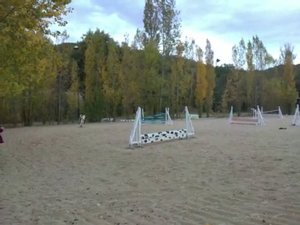 31102010027