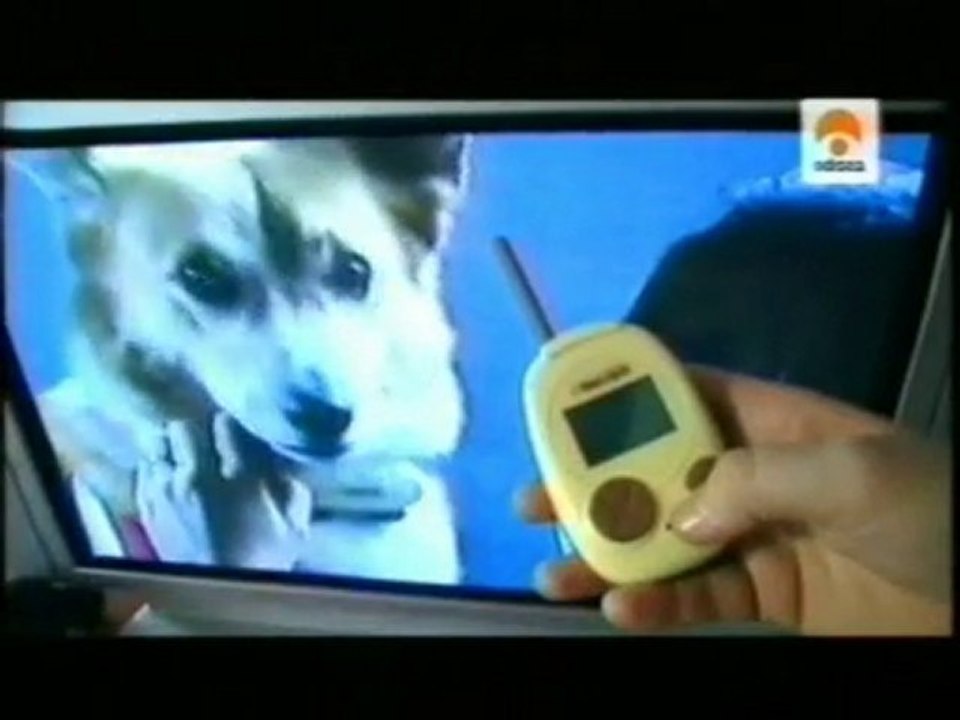 Bowlingual: El traductor de ladridos