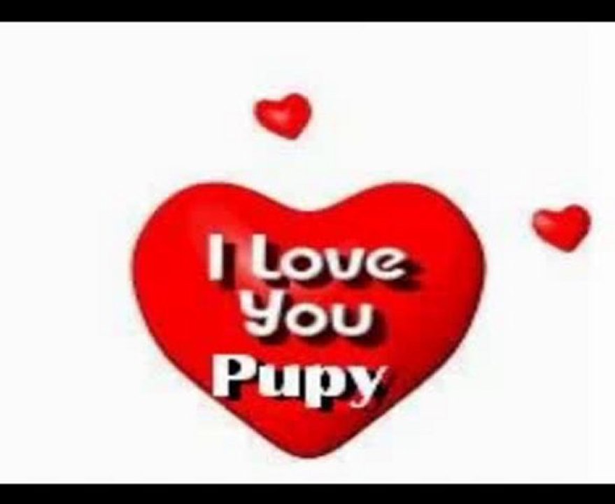 pupy