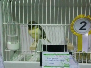 LIPOGROM AHRAC TEPELILER | KOCAELI 2010