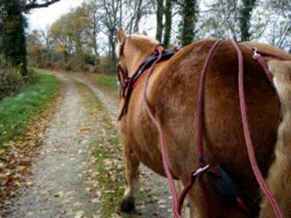 Sortie de novembre 2010