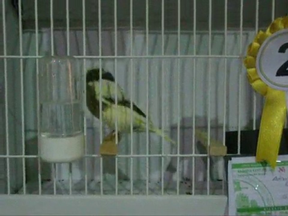 LIPOGROM AHRAC KABAKLAR | KOCAELI 2010