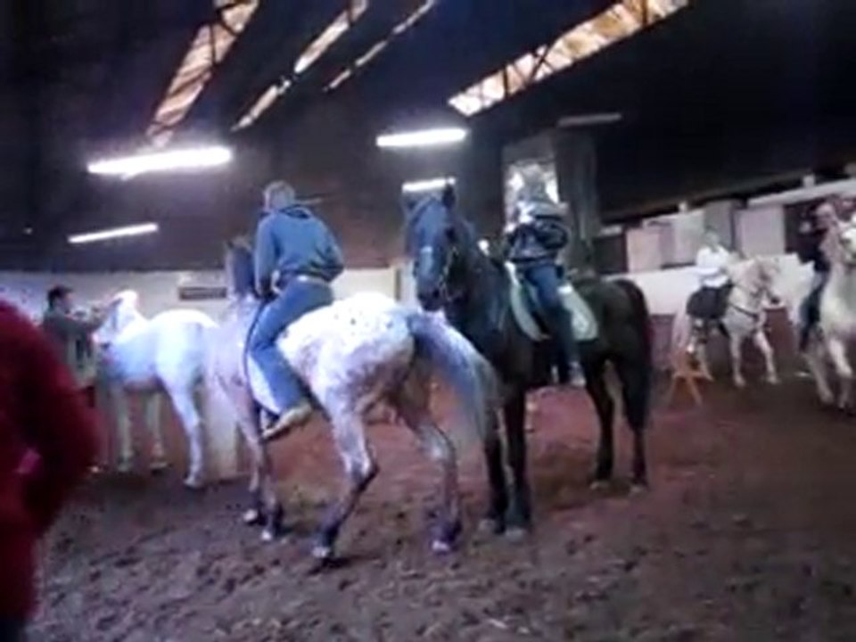 Le 07/11/2010 Jeux organisés au manège El Cortijo à Trooz