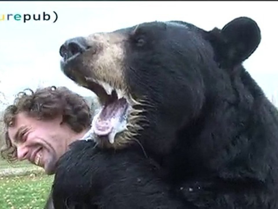 Ours Attaque