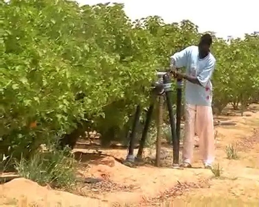 Accaparement des terres au Sénégal