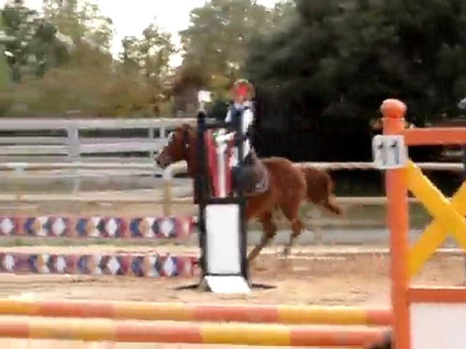 cso bossti