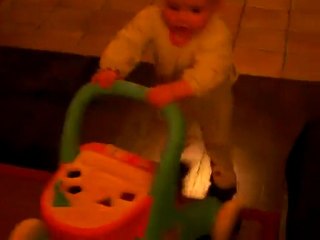 Choupette et son caddie