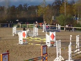 CSO Combelles 07/11/2010 - Margot et Lord